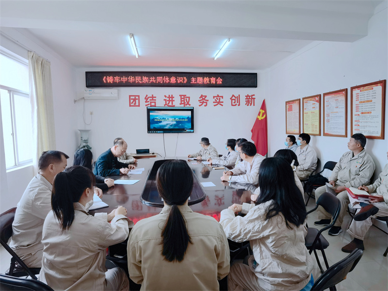 /QJ_277239991535.jpg 3.万搏在线(中国)唯一官方网站市场公司组织少数民族党员职工观看宣传视频.jpg