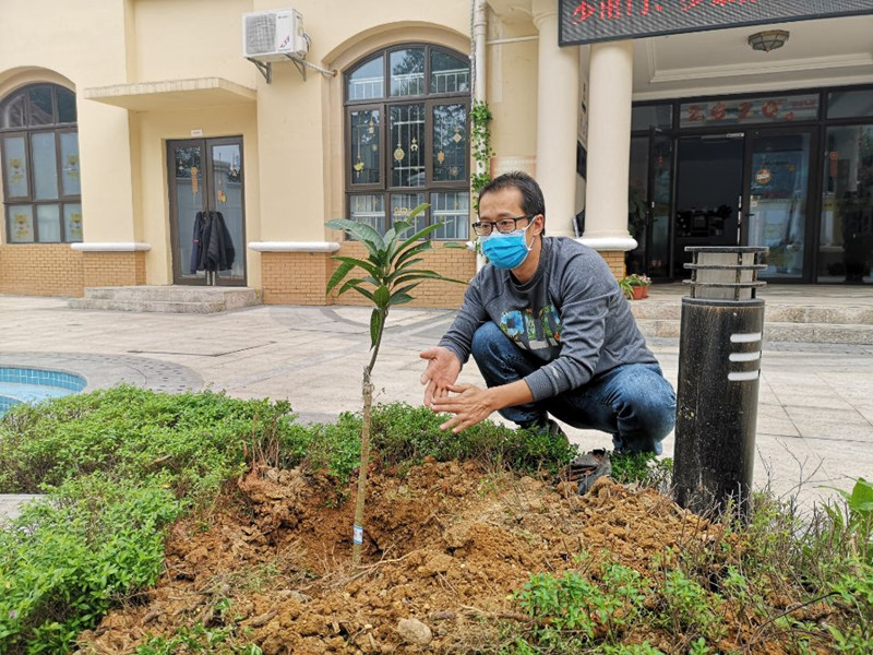 /QJ_409363702653.jpg 种好的树木生机盎然_副本.jpg